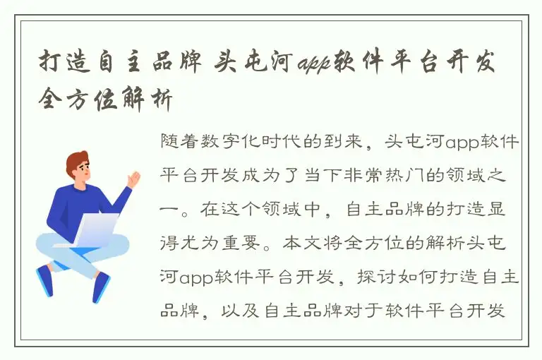 打造自主品牌 头屯河app软件平台开发全方位解析