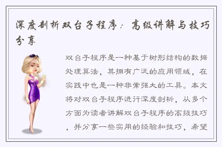 深度剖析双台子程序：高级讲解与技巧分享