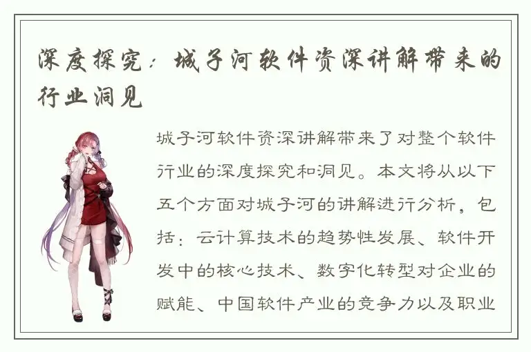 深度探究：城子河软件资深讲解带来的行业洞见