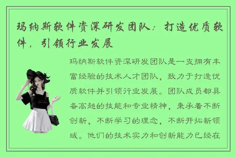 玛纳斯软件资深研发团队：打造优质软件，引领行业发展