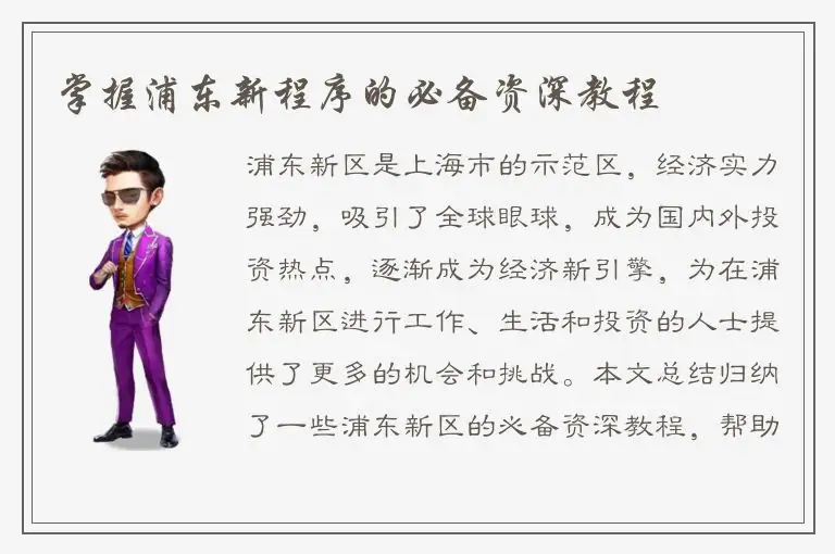 掌握浦东新程序的必备资深教程