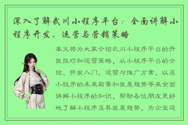深入了解武川小程序平台：全面讲解小程序开发、运营与营销策略