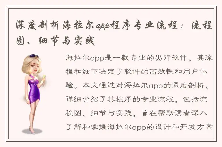 深度剖析海拉尔app程序专业流程：流程图、细节与实践