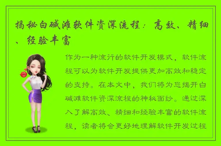 揭秘白碱滩软件资深流程：高效、精细、经验丰富