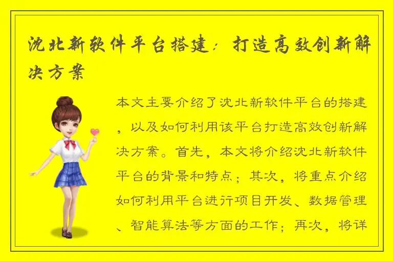 沈北新软件平台搭建：打造高效创新解决方案