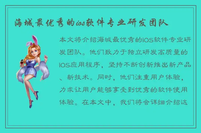 海城最优秀的ios软件专业研发团队