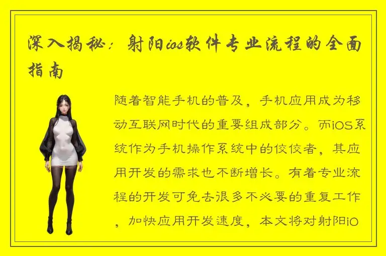 深入揭秘：射阳ios软件专业流程的全面指南