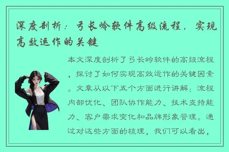 深度剖析：弓长岭软件高级流程，实现高效运作的关键