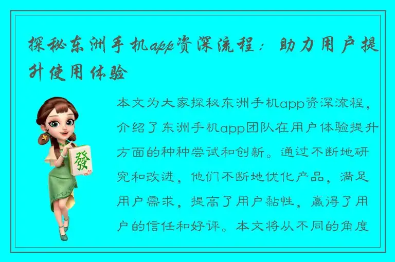 探秘东洲手机app资深流程：助力用户提升使用体验
