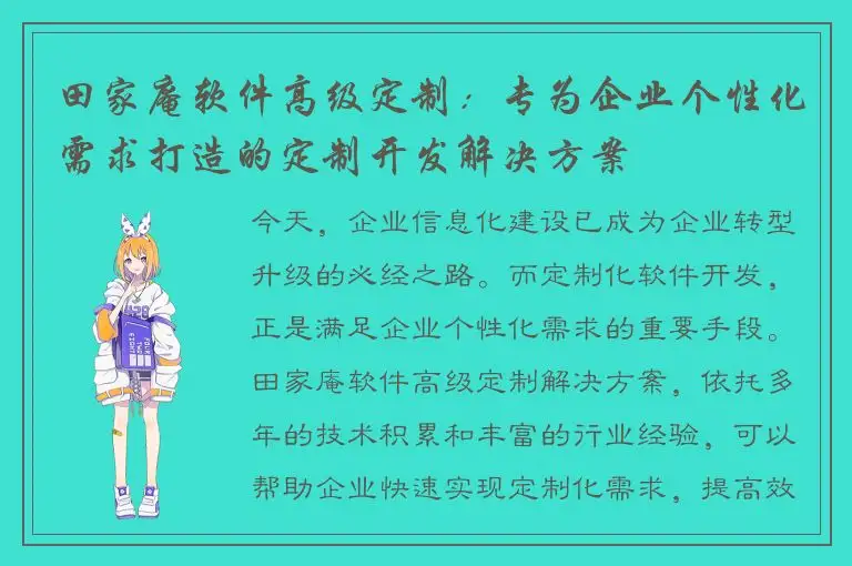 田家庵软件高级定制：专为企业个性化需求打造的定制开发解决方案