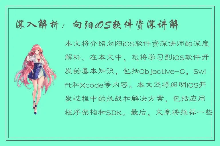 深入解析：向阳iOS软件资深讲解