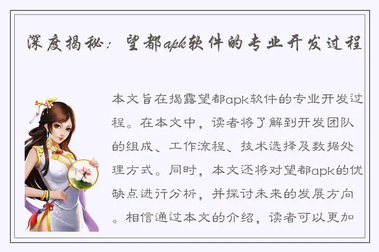 深度揭秘：望都apk软件的专业开发过程