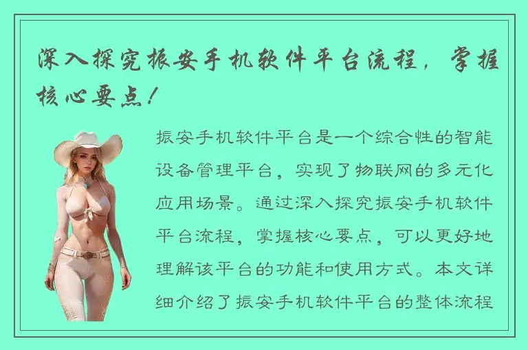 深入探究振安手机软件平台流程，掌握核心要点！
