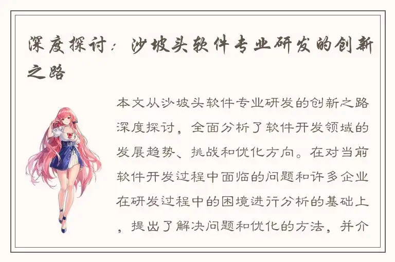 深度探讨：沙坡头软件专业研发的创新之路