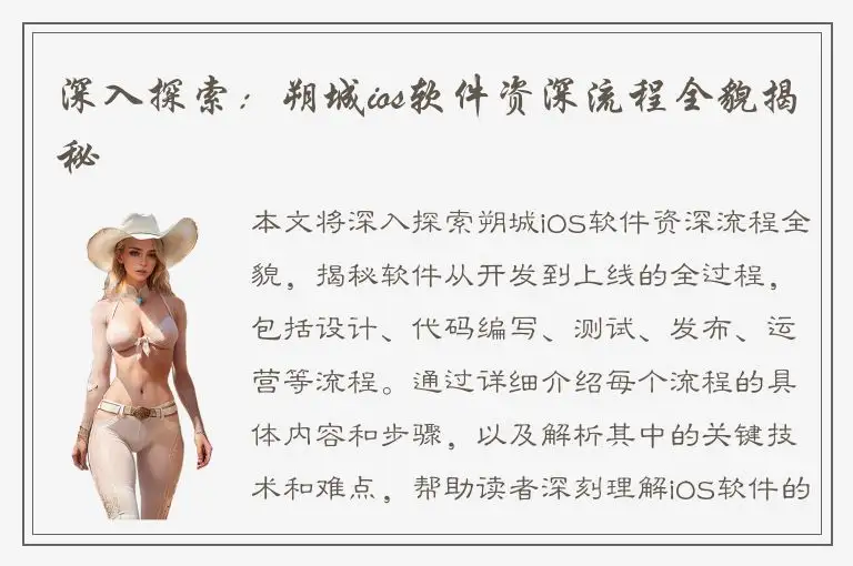 深入探索：朔城ios软件资深流程全貌揭秘
