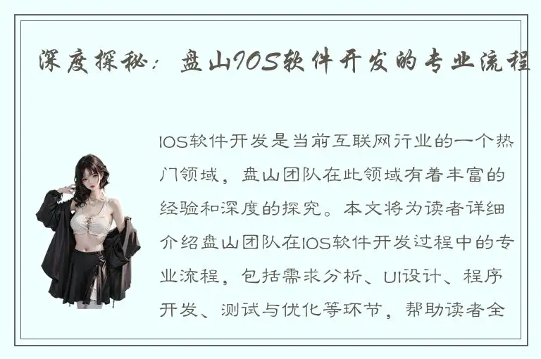 深度探秘：盘山IOS软件开发的专业流程