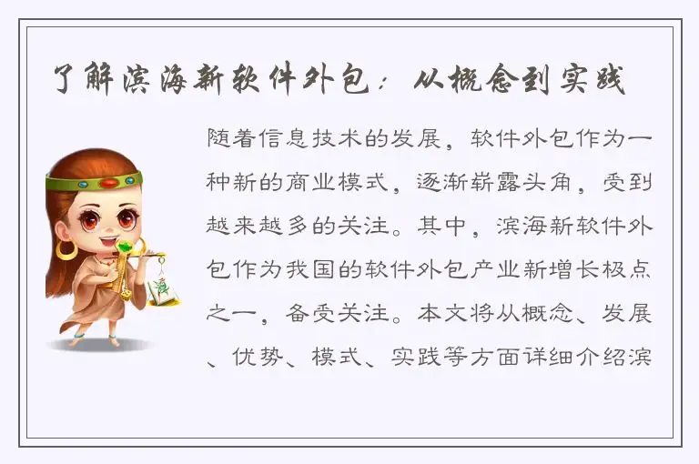 了解滨海新软件外包：从概念到实践