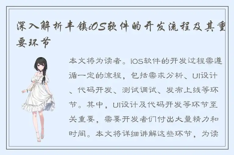 深入解析丰镇iOS软件的开发流程及其重要环节