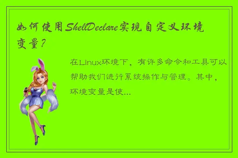 如何使用ShellDeclare实现自定义环境变量？