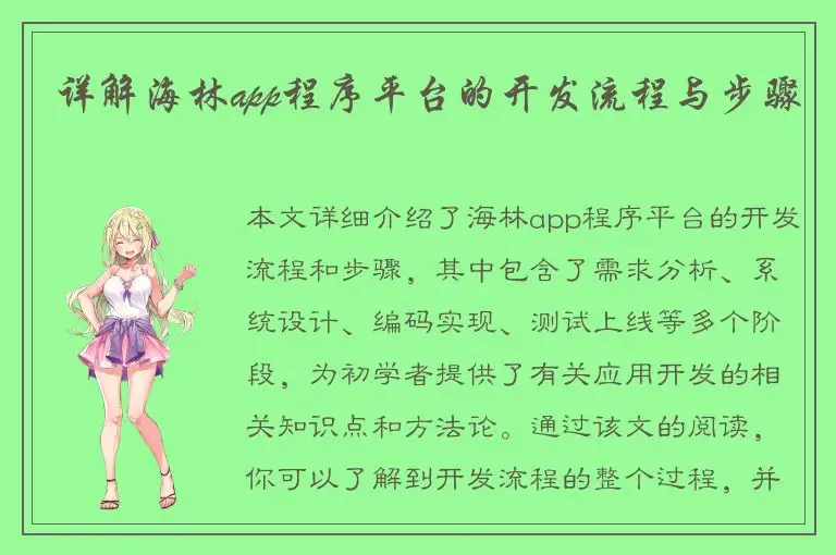 详解海林app程序平台的开发流程与步骤