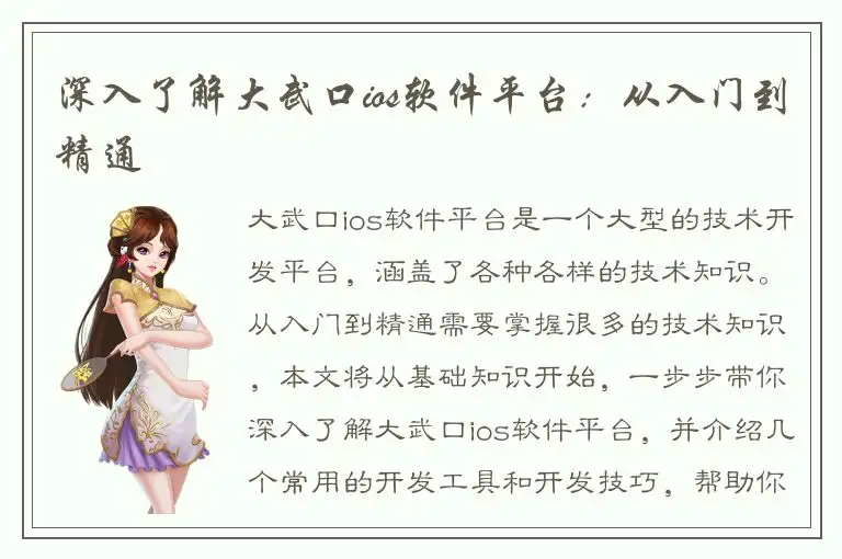 深入了解大武口ios软件平台：从入门到精通