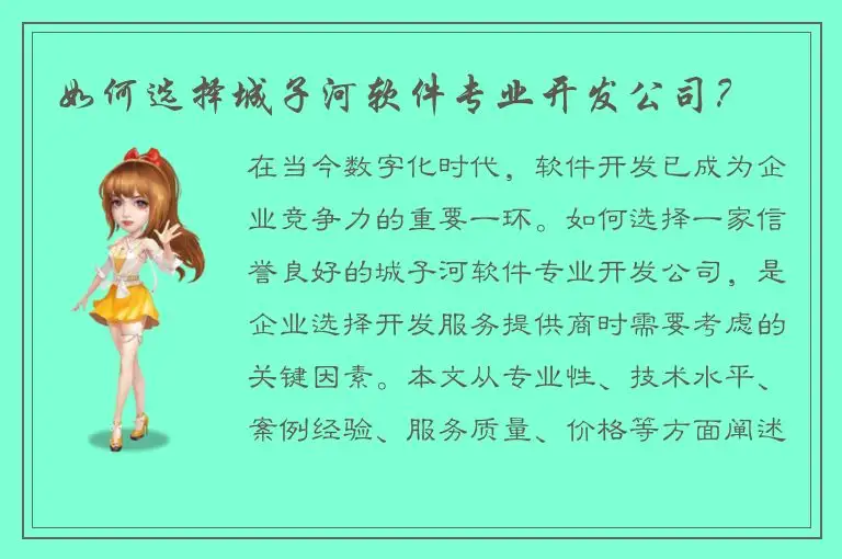 如何选择城子河软件专业开发公司？