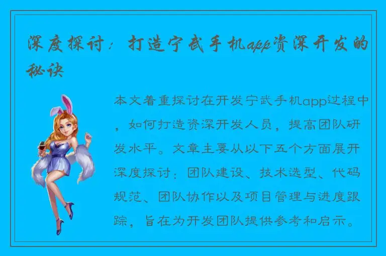 深度探讨：打造宁武手机app资深开发的秘诀