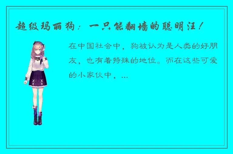 超级玛丽狗：一只能翻墙的聪明汪！