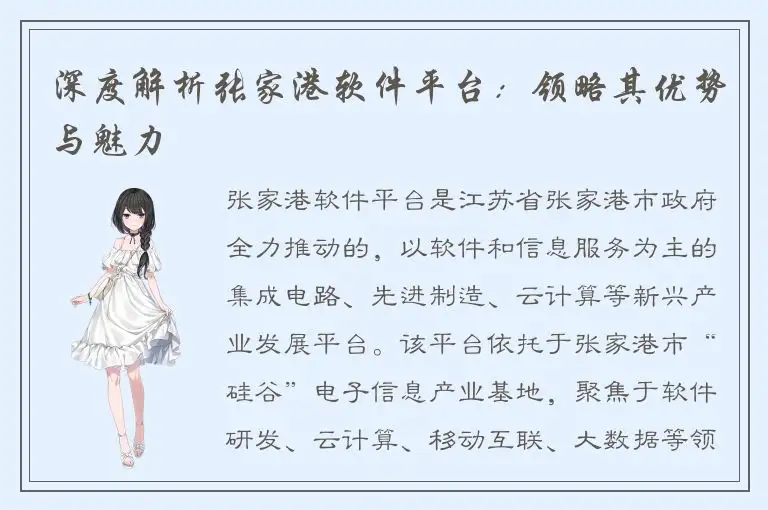 深度解析张家港软件平台：领略其优势与魅力