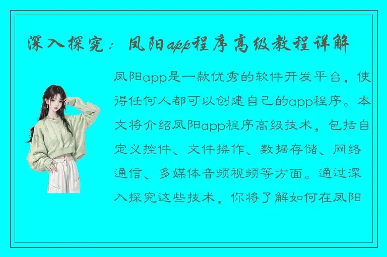 深入探究：凤阳app程序高级教程详解