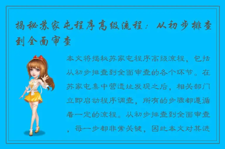 揭秘苏家屯程序高级流程：从初步排查到全面审查