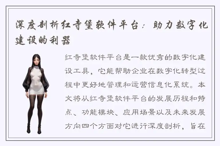 深度剖析红寺堡软件平台：助力数字化建设的利器