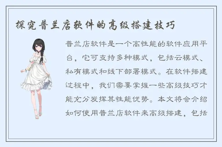 探究普兰店软件的高级搭建技巧