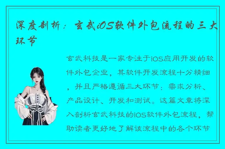 深度剖析：玄武iOS软件外包流程的三大环节