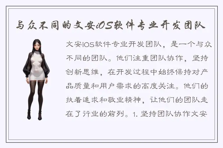 与众不同的文安iOS软件专业开发团队
