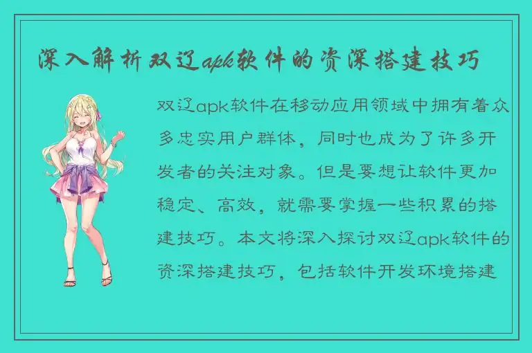 深入解析双辽apk软件的资深搭建技巧