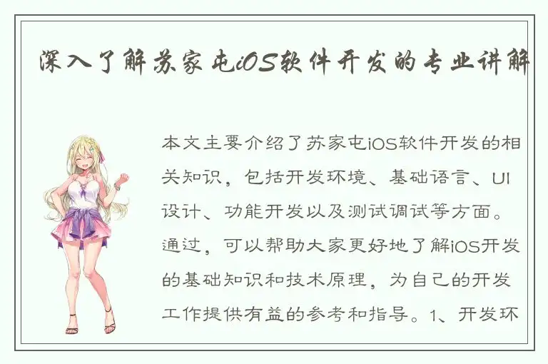 深入了解苏家屯iOS软件开发的专业讲解