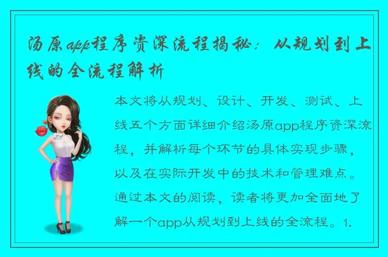 汤原app程序资深流程揭秘：从规划到上线的全流程解析