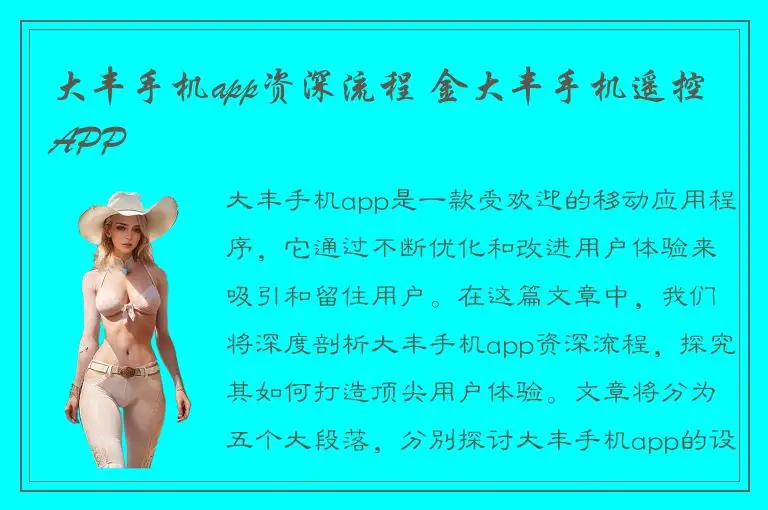 大丰手机app资深流程 金大丰手机遥控APP