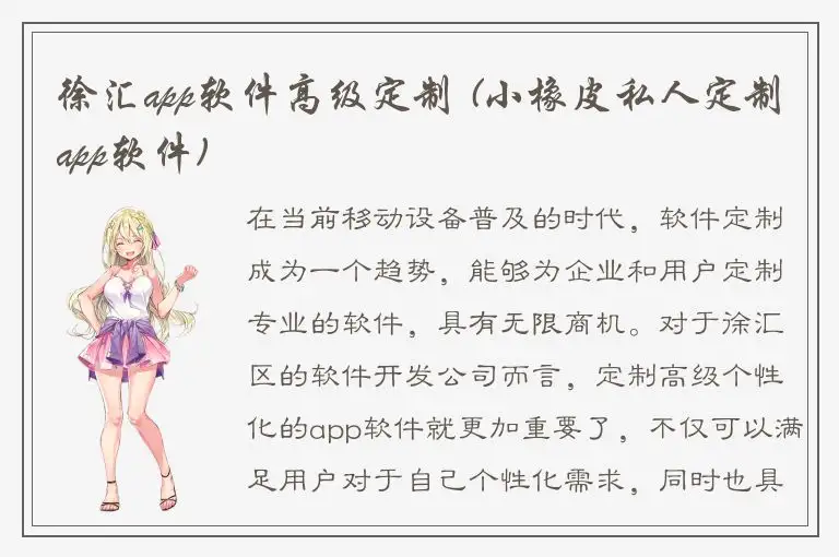 徐汇app软件高级定制 (小橡皮私人定制app软件)