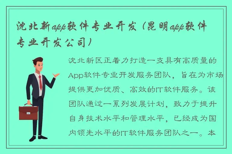 沈北新app软件专业开发 (昆明app软件专业开发公司)