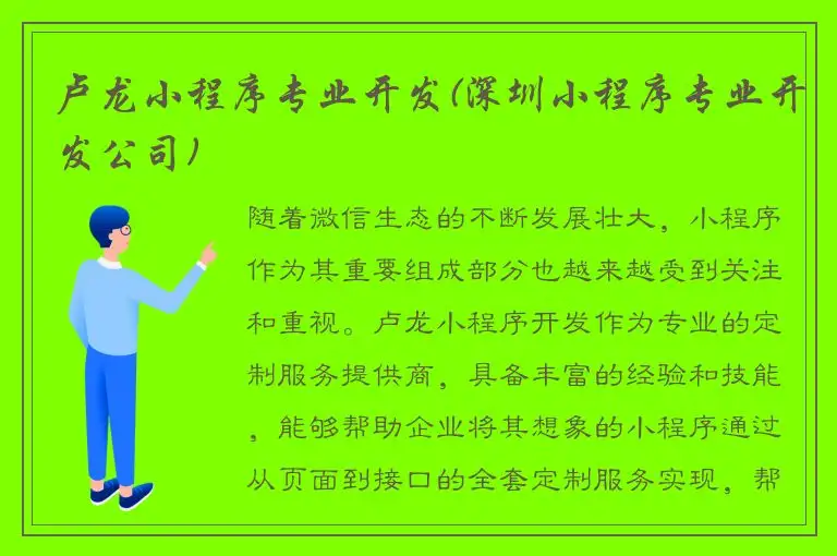 卢龙小程序专业开发(深圳小程序专业开发公司)