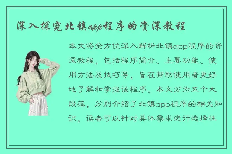 深入探究北镇app程序的资深教程