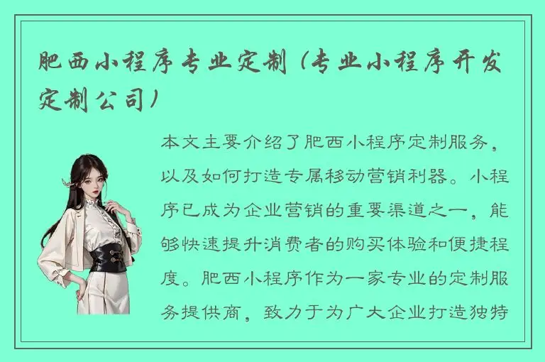 肥西小程序专业定制 (专业小程序开发定制公司)