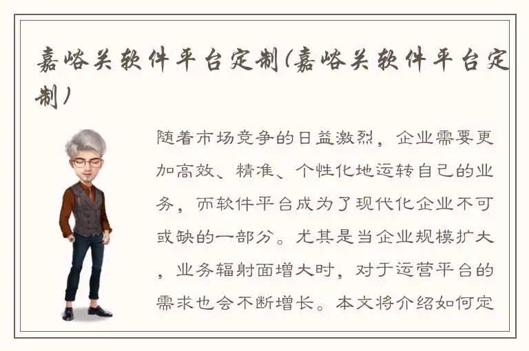 嘉峪关软件平台定制(嘉峪关软件平台定制)