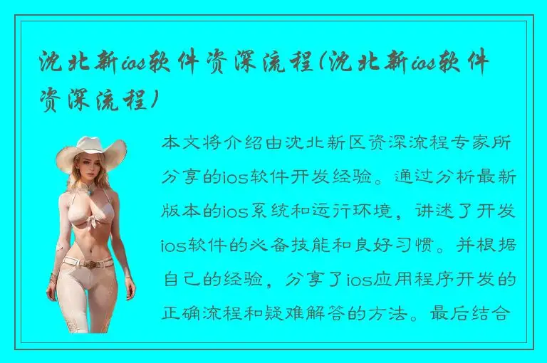 沈北新ios软件资深流程(沈北新ios软件资深流程)