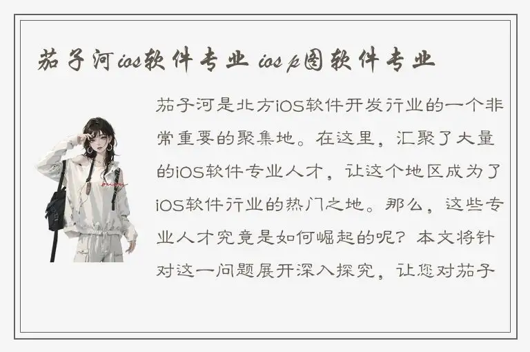 茄子河ios软件专业 ios p图软件专业
