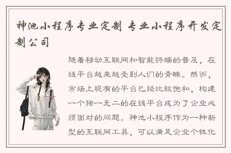 神池小程序专业定制 专业小程序开发定制公司