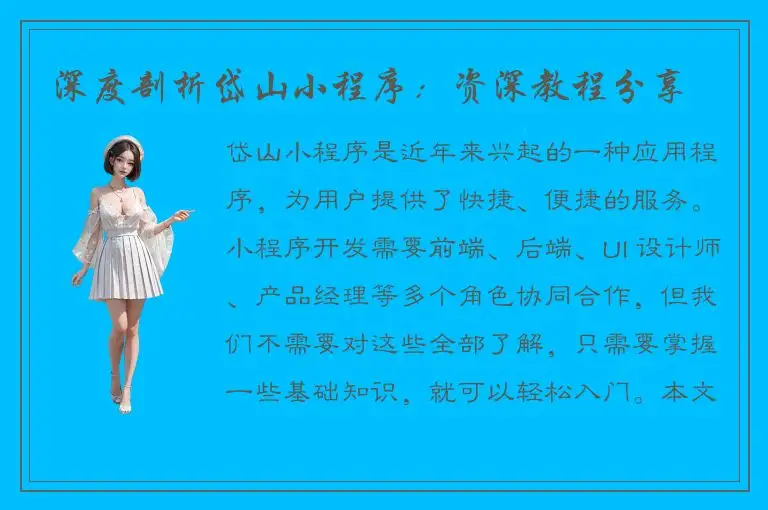 深度剖析岱山小程序：资深教程分享