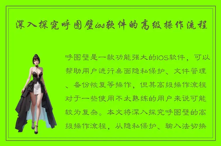 深入探究呼图壁ios软件的高级操作流程